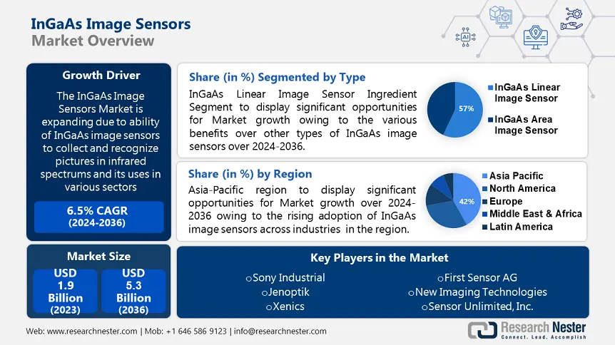 InGaAs Image Sensors Market Overview